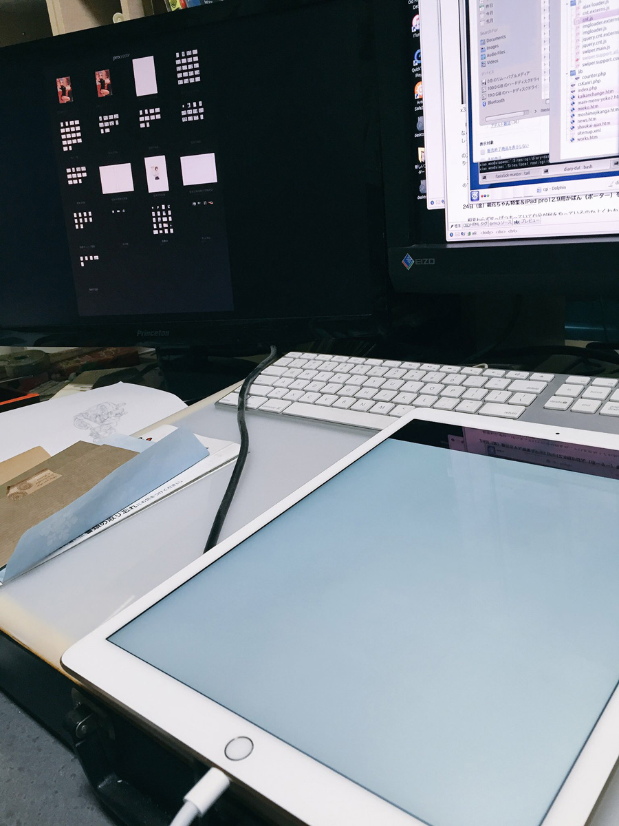 iPad pro 12.9 液晶死亡 05