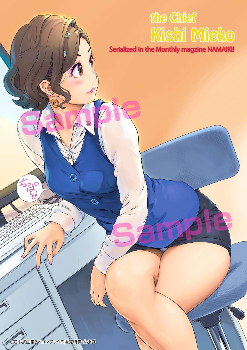 小武総本家・小武画集series2メロンブックス特典見栄子